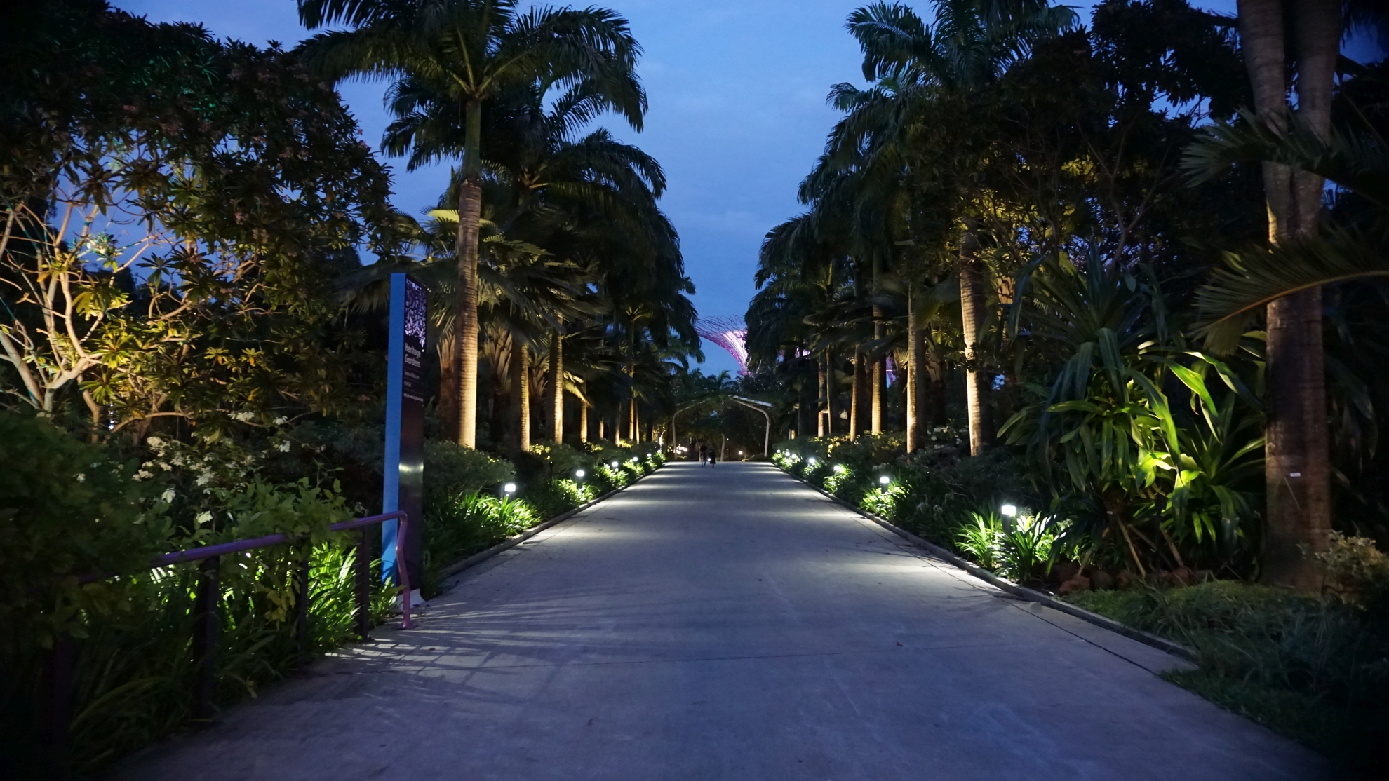 Singapore-7